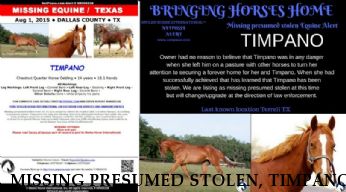 MISSING PRESUMED STOLEN, TIMPANO  Near Terrell, TX, 75160